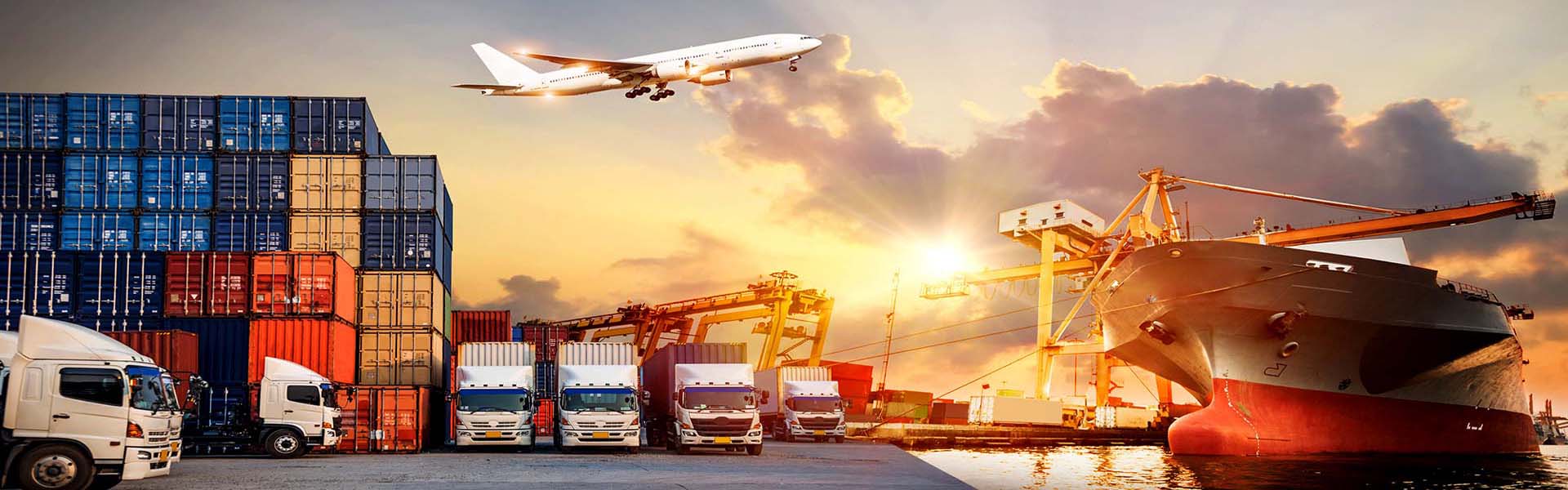 7 Star Packers and Movers